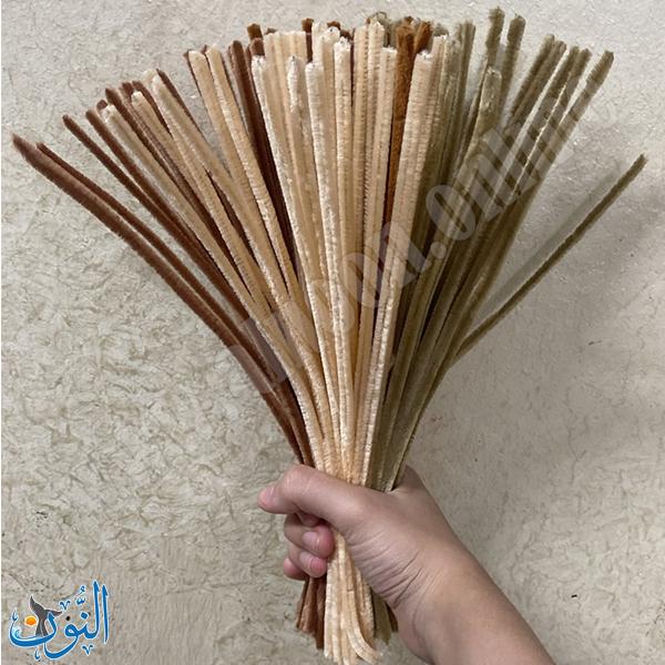 درجات بني