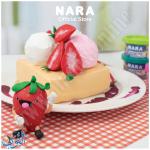 معجونة لا تجف 12 لون 270 غم NARA