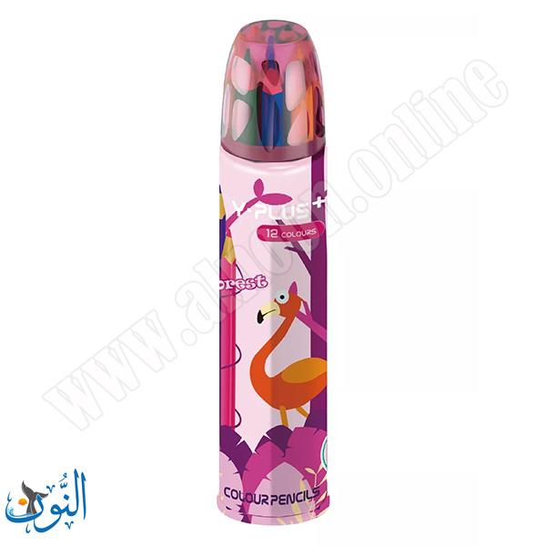 الوان خشب 12 لون في علبة معدنية Y.PLUS FOREST