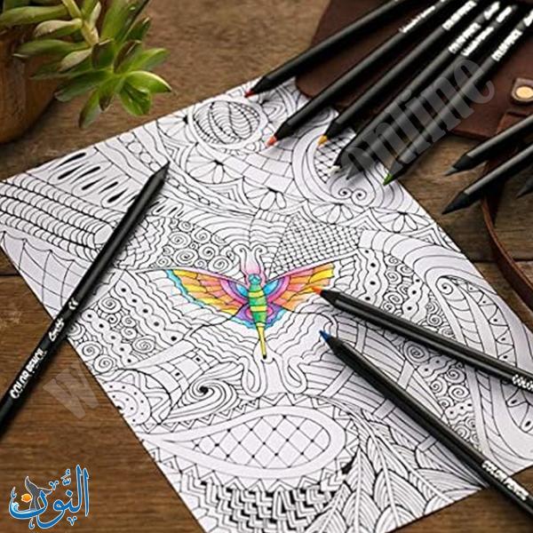 الوان خشب 12 لون Conte