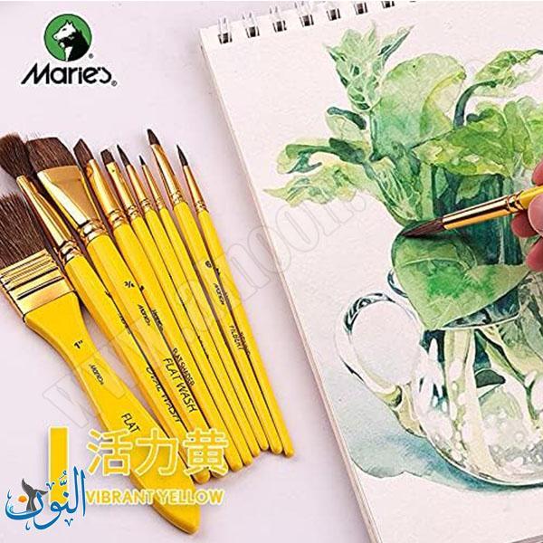طقم 10فراشي الوان مائية مع حقيبة ماريس