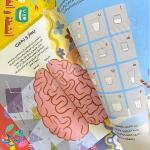 سلسلة الأذكياء | جسم الإنسان | أنشطة و ألغاز