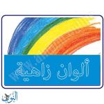 الوان خشب 18 لون علبة معدنية BIC EVOLUTION