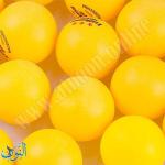 كرة مضرب طاولة برتقالي REGAIL