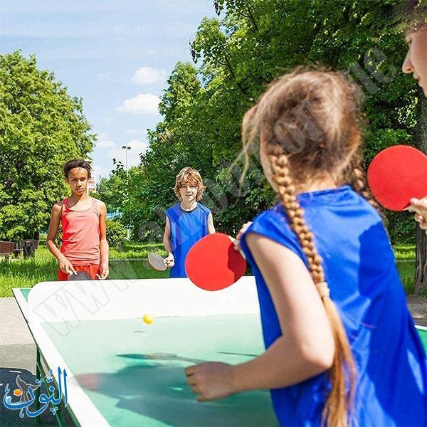 كرة مضرب طاولة برتقالي REGAIL