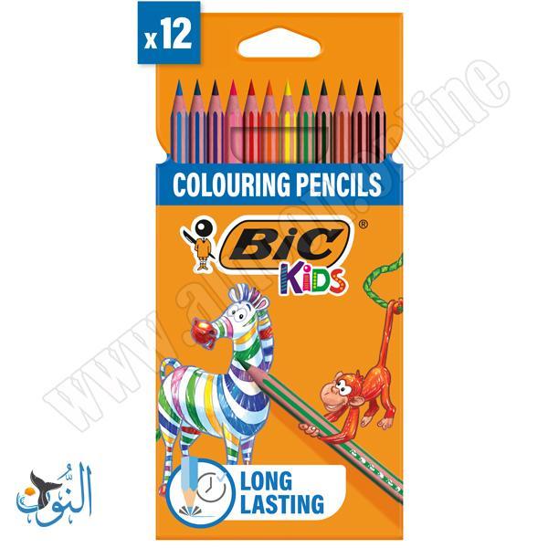 الوان خشب 12 لون  BIC Stripes