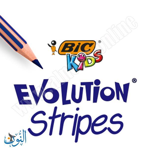 الوان خشب 24 لون  BIC Stripes