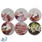 ادوات تشكيل طينة احترافية NARA