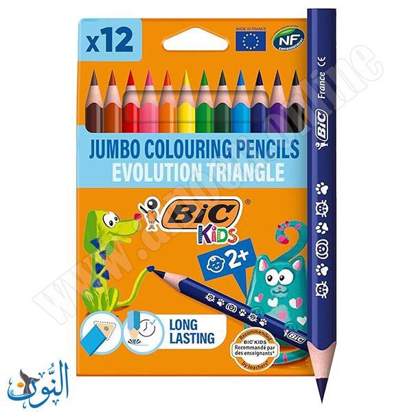 الوان خشب عملاق 12 لون BIC TRIANGLE