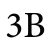 3B