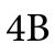 4B